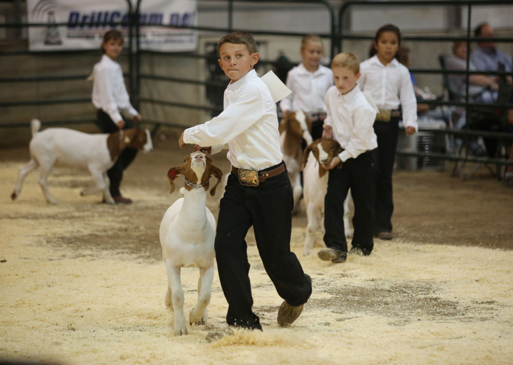 Central Wyoming Fair
